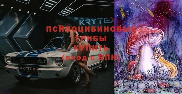 СК Алзамай