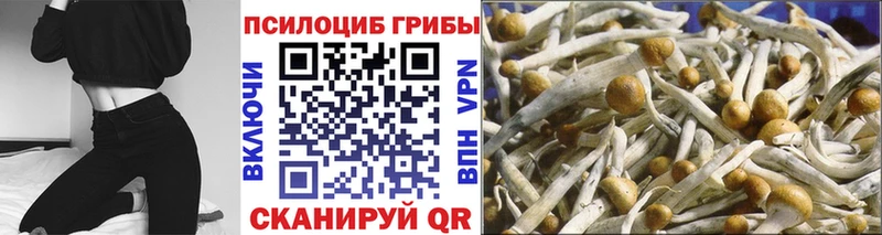 Псилоцибиновые грибы мухоморы  Тогучин 